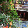 Отель Hongcun Small House, фото 1