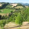 Отель Agriturismo Al Respiro Nel Bosco, фото 14