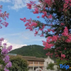 Отель MeiZhou JZL  B & B, фото 1