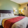 Отель Comfort Inn (belton), фото 5