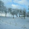 Отель Gîte Laval, фото 16