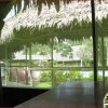 Отель Cumaceba Botanical Garden, фото 26