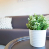 Отель Experia Golf Loft - Italian Homing, фото 8