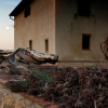 Отель Apartment With one Bedroom in San Gimignano, With Pool Access, Furnish, фото 14