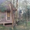 Отель Irungu Forest Safari Lodge, фото 38