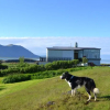 Отель Raufarnes Holiday Home, фото 7