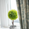 Отель The Kingswood Hotel, фото 15