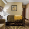 Отель Comfort Inn Guelph, фото 7