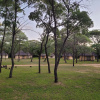 Отель Matopo Ingwe Lodge, фото 10