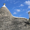 Отель Trulli Del Bosco, фото 1