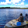 Отель Wooli River Lodges, фото 13