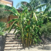 Отель Agriturismo Rosemarine, фото 6