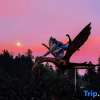 Отель Zhangjiajie Wulingyuan Forest Youyue Art Homestay, фото 10