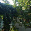 Отель Lavista Alaçatı, фото 16