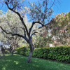 Отель Italianway - La Casa Di Rita, фото 26