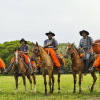 Отель Pousada Fazenda Xaraés, фото 15