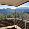 Отель Silver Mountain Panoramic View G1 48, фото 20
