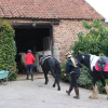 Отель Pardlestone Farm: B&B, фото 22