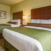 Отель Cobblestone Hotel & Suites - Hutchinson, фото 10