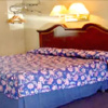 Отель Brentwood Motor Inn, фото 3