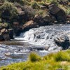 Отель Afriski Whistlers Camp, фото 26