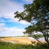 Отель The Snuggly Sheep Shepherd Hut Farm Stay, фото 11