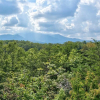 Отель View Catcher - Two Bedroom Cabin, фото 15