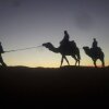 Отель Sahara Camels Camp, фото 8