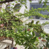 Отель Şiirli Pansiyon Kafe Bar Sığacık, фото 18