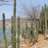 Отель Cactus Taganga, фото 28
