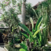 Отель Medewi Beach Inn, фото 29