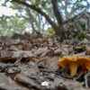 Отель Tottam Experience, фото 37