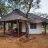 Отель Wild Dogs Safari Lodge, фото 24