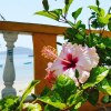 Отель Cerrito Tropical, фото 17