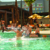 Отель Universal's Endless Summer - Dockside Inn & Suites, фото 25