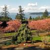 Отель Airy Home Near Anacortes w/ San Juan de Fuca Views, фото 18