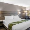 Отель Quality Inn & Suites Amsterdam, фото 50