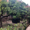 Отель Villa Ella, фото 7