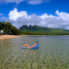 Отель Moloa'a Bay Villa and Cottage, фото 39
