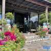 Отель Plantain Inn, фото 3