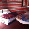 Отель Beduin star trail camp, фото 6