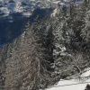 Отель Wirtshaus zum Wiesejaggl, фото 20