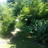 Отель Ridgehaven Panorama, фото 6