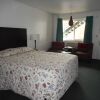 Отель Cougar Land Motel, фото 3