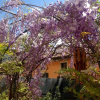 Отель Guest House Santiago, фото 9