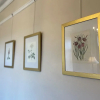 Отель Southcliffe Bed & Breakfast, фото 12