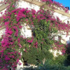 Отель Knossos Hotel, фото 14