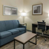 Отель Quality Inn & Suites Roanoke - Fort Worth North, фото 11