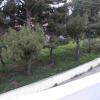 Отель Vasilis Apartments, фото 1