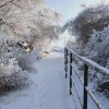 Отель Tian's Inn, фото 13